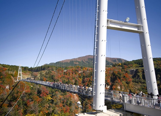 画像：九重“夢”大吊橋